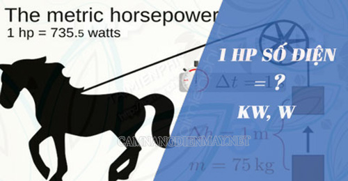Từ "ngựa" trong cụm từ máy rửa xe 2 ngựa là dùng để chỉ đơn vị mã lực (công suất máy)