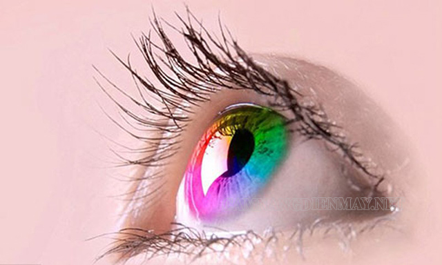 Các màu sắc của mắt con người do GEN OCA2 quy định