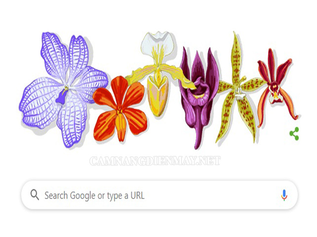 Vì sao Google Doodle lại vinh danh giáo sư Rapee Sagarik
