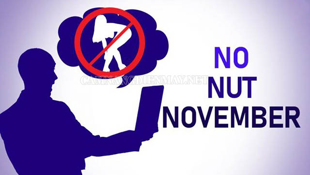Nguồn gốc của No Nut November