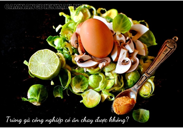 ăn trứng gà công nghiệp có phải là ăn chay?