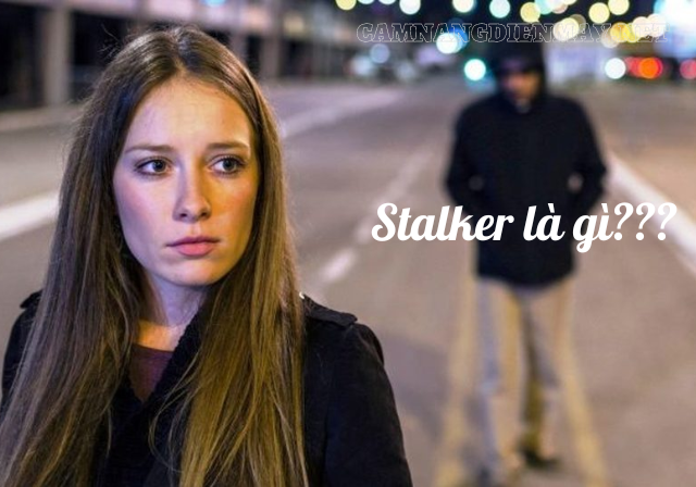 Stalker là gì?