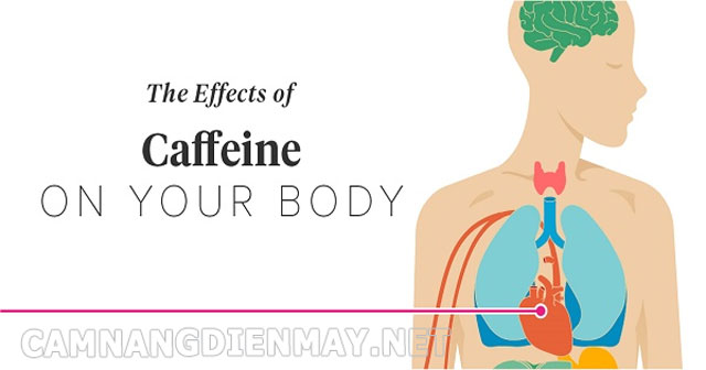 Nguyên nhân chính gây ra say cafe là do caffeine có trong cà phê làm cơ thể bị kích thích