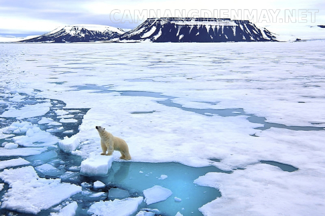 Hiệu ứng nhà kính khiến băng ở Nam Cực và Bắc Cực tan nhanh hơn