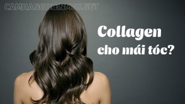 Bổ sung collagen giúp cho mái tóc được bồng bềnh, chắc khỏe