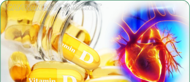 Vitamin D3 được nghiên cứu chứng minh rất tốt cho người bị cao huyết áp và người bị béo phì