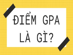 Thông tin chi tiết về điểm GPA