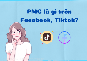 PMG ( Pick me girl) là gì trên facebook, tiktok?