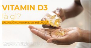 Vitamin D3 giúp hấp thụ photpho và canxi từ ruột vào máu, nuôi dưỡng sức khỏe cơ thể